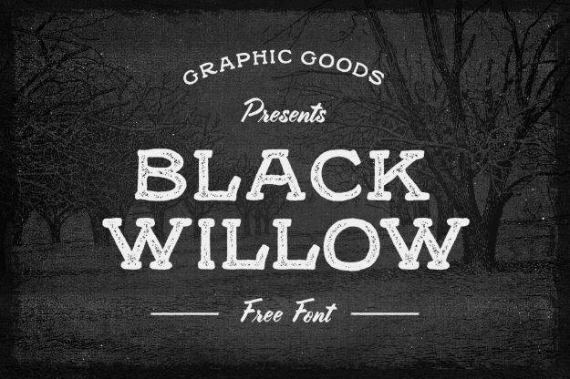 Best Free Fonts To Download for Crafts and DIY Projects - Black Willow - Cute, Cool and Professional Looking Font Ideas for Teachers, Crafters and Wedding Decor - Calligraphy, Script, Sans Serif, Handwriting and Vintage Chalkboard Fonts for A Rustic Look - Fun Cricut and Silhouette Downloads - Printables for Signs and Invitations 