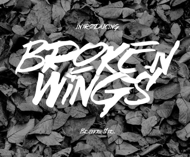 Best Free Fonts To Download for Crafts and DIY Projects -Broken Wings - Cute, Cool and Professional Looking Font Ideas for Teachers, Crafters and Wedding Decor - Calligraphy, Script, Sans Serif, Handwriting and Vintage Chalkboard Fonts for A Rustic Look - Fun Cricut and Silhouette Downloads - Printables for Signs and Invitations 
