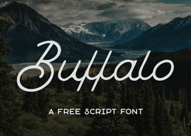 Best Free Fonts To Download for Crafts and DIY Projects - Buffalo - Cute, Cool and Professional Looking Font Ideas for Teachers, Crafters and Wedding Decor - Calligraphy, Script, Sans Serif, Handwriting and Vintage Chalkboard Fonts for A Rustic Look - Fun Cricut and Silhouette Downloads - Printables for Signs and Invitations 