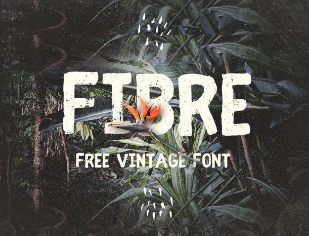 Best Free Fonts To Download for Crafts and DIY Projects - Fibre - Cute, Cool and Professional Looking Font Ideas for Teachers, Crafters and Wedding Decor - Calligraphy, Script, Sans Serif, Handwriting and Vintage Chalkboard Fonts for A Rustic Look - Fun Cricut and Silhouette Downloads - Printables for Signs and Invitations 
