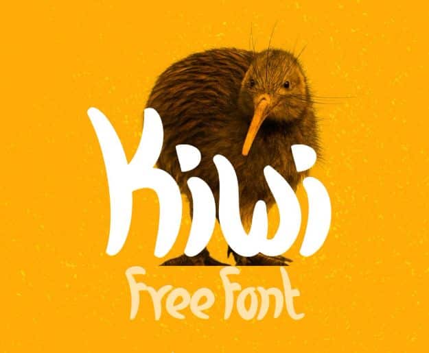 Best Free Fonts To Download for Crafts and DIY Projects - Kiwi - Cute, Cool and Professional Looking Font Ideas for Teachers, Crafters and Wedding Decor - Calligraphy, Script, Sans Serif, Handwriting and Vintage Chalkboard Fonts for A Rustic Look - Fun Cricut and Silhouette Downloads - Printables for Signs and Invitations 