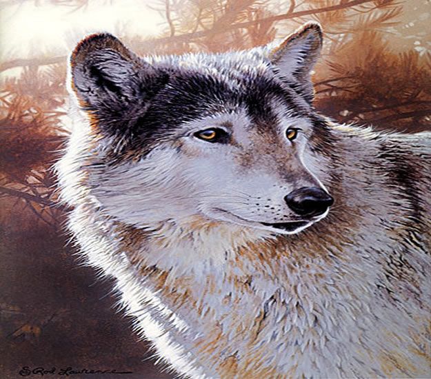 Acrylic Painting Tutorials and Techniques - Wolf Wildlife Acrylic Art Demo - How To Paint With Acrylic Paint- DIY Acrylic Painting Ideas on Canvas - Make Flowers, Ocean, Sky, Abstract People, Landscapes, Buildings, Animals, Portraits, Sunset With Acrylics - Step by Step Art Lessons for Beginners - Easy Video Tutorials and How To for Acrylic Paintings #art #painting
