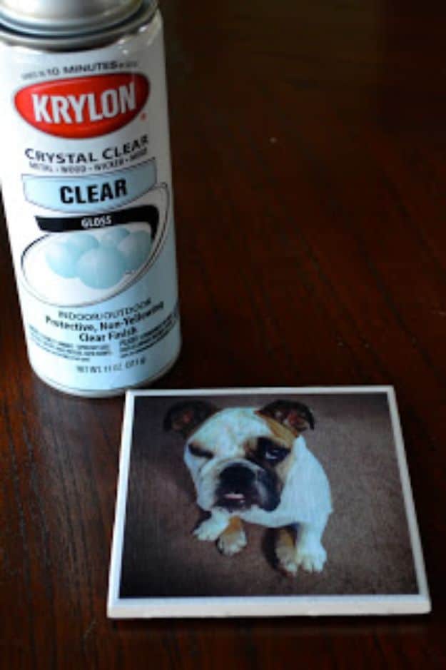 DIY Ideas With Dogs - Dog Photo Coaster - Cute and Easy DIY Projects for Dog Lovers - Wall and Home Decor Projects, Things To Make and Sell on Etsy - Quick Gifts to Make for Friends Who Have Puppies and Doggies - Homemade No Sew Projects- Fun Jewelry, Cool Clothes and Accessories #dogs #crafts #diyideas