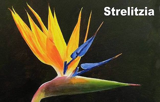 How To Paint Flowers - How To Paint A Strelitzia Flower In Acrylic - Step by Step Tutorials for Painting Roses, Daisies, Whimsical and Abstract Floral Techniques - Easy Acrylic Flower Tutorial for Beginners - Paint on Wood, Canvas, On Wasll, Rocks, Fabric and Paper - Step by Step Instructions and How To #painting #diy 
