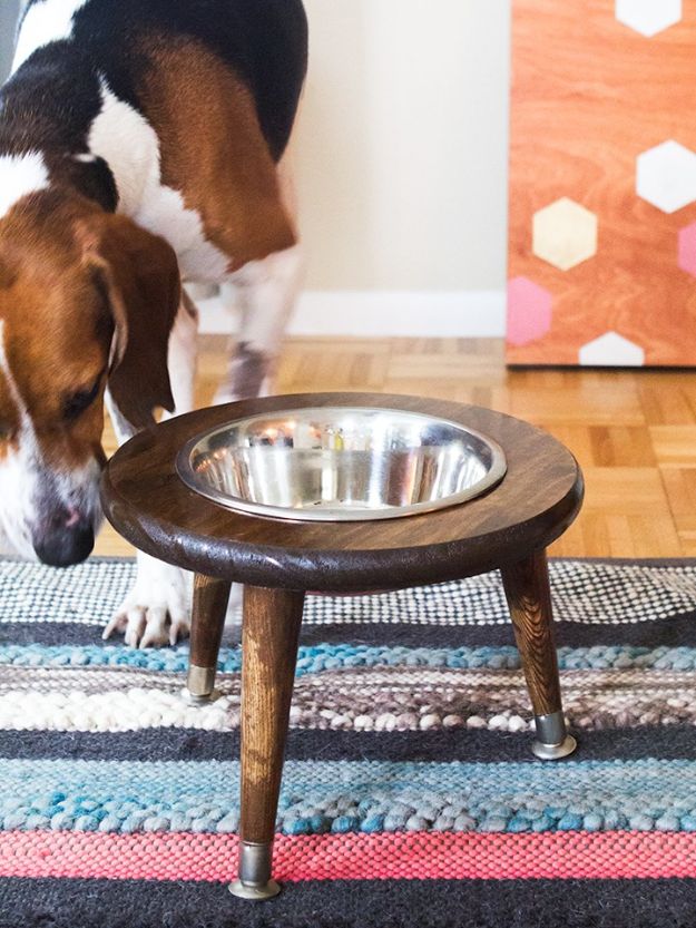 DIY Pet Bowls And Feeding Stations - DIY Mid- Century Dog Bowl Stand - Easy Ideas for Serving Dog and Cat Food, Ways to Raise and Store Bowls - Organize Your Dog Food and Water Bowl With These Cute and Creative Ideas for Dogs and Cats- Monogram, Painted, Personalized and Rustic Crafts and Projects http://diyjoy.com/diy-pet-bowls-feeding-station