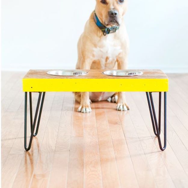 DIY Pet Bowls And Feeding Stations - Elevated Pet Food Station - Easy Ideas for Serving Dog and Cat Food, Ways to Raise and Store Bowls - Organize Your Dog Food and Water Bowl With These Cute and Creative Ideas for Dogs and Cats- Monogram, Painted, Personalized and Rustic Crafts and Projects http://diyjoy.com/diy-pet-bowls-feeding-station