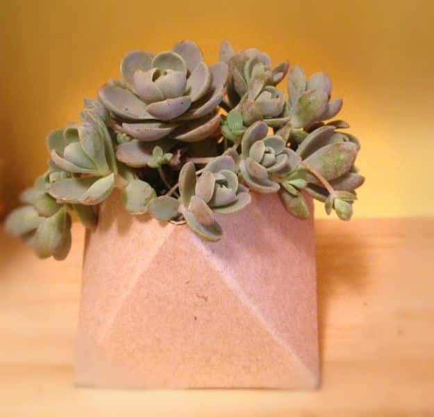 Cool DIY Ideas With Cereal Boxes - Geometric Succulent Planter - Easy Organizing Ideas, Cute Kids Crafts and Creative Ways to Make Things Out of A Cereal Box - Cheap Gifts, DIY School Supplies and Storage Ideas http://diyjoy.com/diy-ideas-cereal-boxes