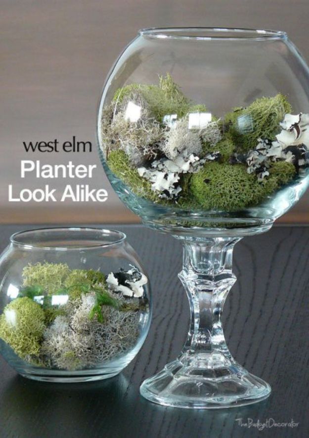 Dollar Tree Crafts - DIY Dollar Store Terrarium - DIY Ideas and Crafts Projects From Dollar Tree Stores - Easy Organizing Project Tutorials and Home Decorations- Cheap Crafts to Make and Sell #dollarstore #dollartree #dollarstorecrafts #cheapcrafts #crafts #diy #diyideas 