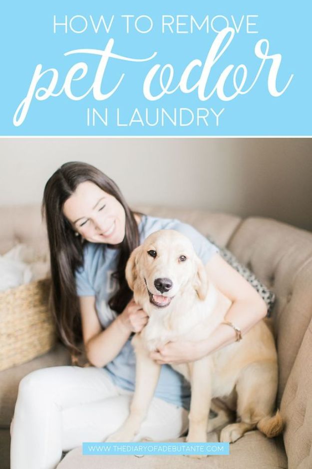 Laundry Hacks - Remove Pet Odor From Laundry - Cool Tips for Busy Moms and Laundry Lifehacks - Laundry Room Organizing Ideas, Storage and Makeover - Folding, Drying, Cleaning and Stain Removal Tips for Clothes - How to Remove Stains, Paint, Ink and Smells - Whitening Tricks and Solutions - DIY Products and Recipes for Clothing Soaps 