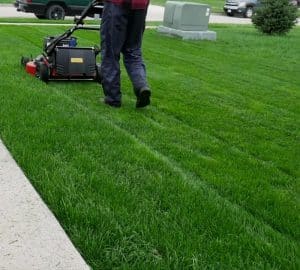 How To Fix Your Lawn With Overseeding In Just Days