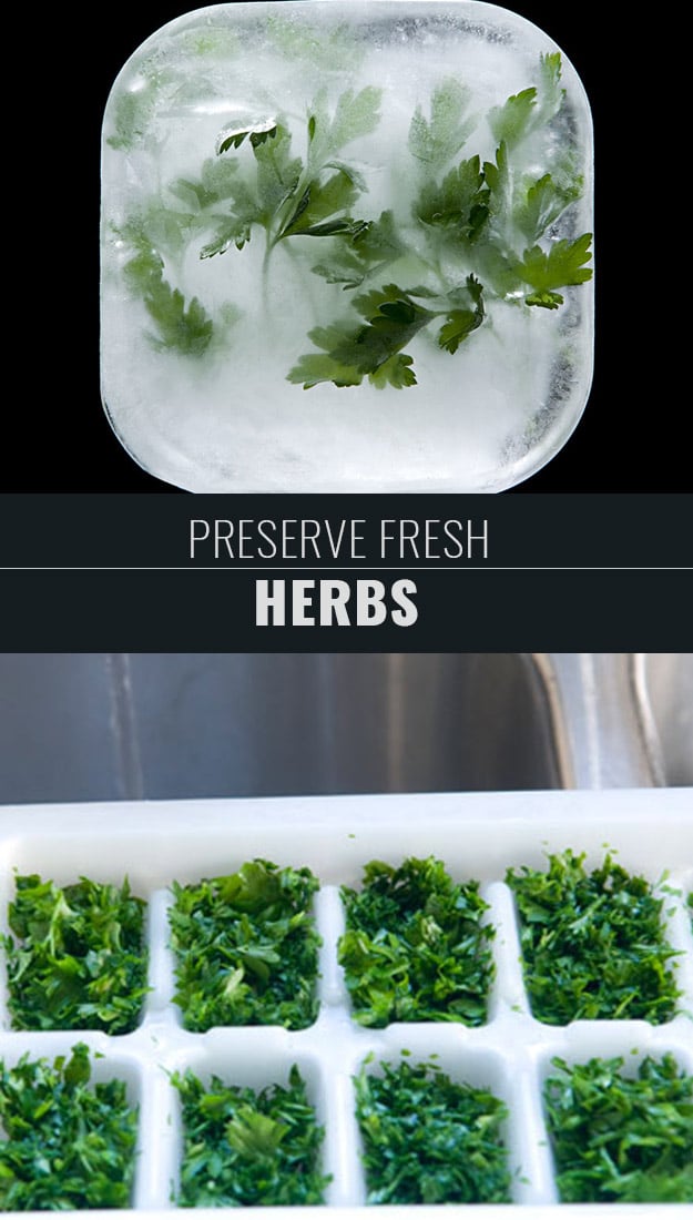 Coolest Cooking Hacks, Tips and Tricks for Easy Meal Prep, Recipe Shortcuts and Quick Ideas for Food | Preserve Fresh Herbs 