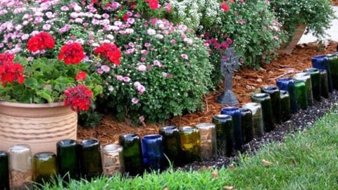 Wine Bottle Edging: How to Landscape With Bottles (Step by Step) | DIY Joy Projects and Crafts Ideas