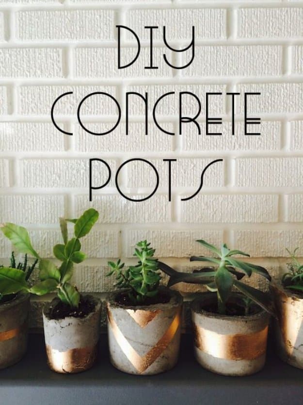 43 DIY concrete crafts - Gold Painted Concrete Succulent Pots- Cheap and creative projects and tutorials for countertops and ideas for floors, patio and porch decor, tables, planters, vases, frames, jewelry holder, home decor and DIY gifts #gifts #diy 