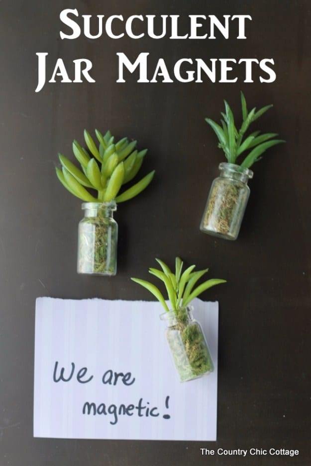 Succulents Crafts and DIY Projects - DIY Succulent Jar Magnets - How To Make Fun, Beautiful and Cool Succulent Cactus Wedding Favors, Centerpieces, Mason Jar Ideas, Flower Pots and Decor #crafts #succulents #gardening