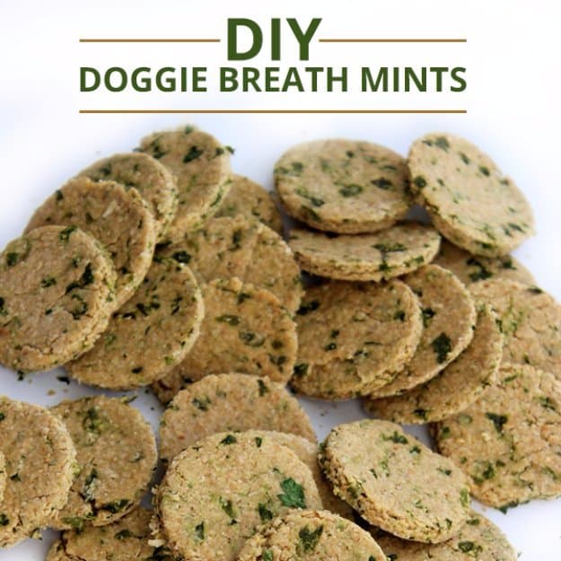 DIY Pet Recipes For Treats and Food - DIY Doggie Breath Mints - Dogs, Cats and Puppies Will Love These Homemade Products and Healthy Recipe Ideas - Peanut Butter, Gluten Free, Grain Free - How To Make Home made Dog and Cat Food 