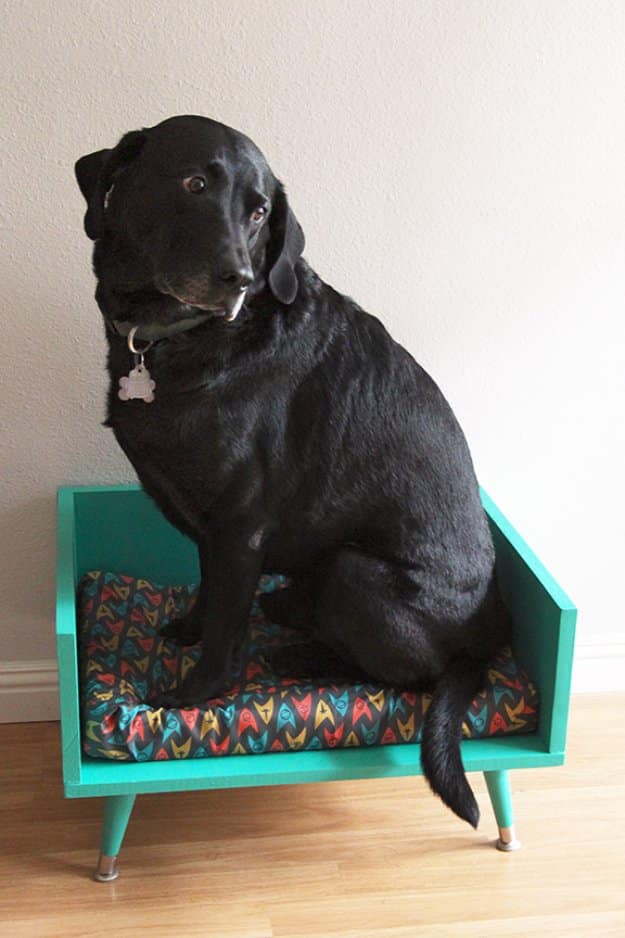 DIY Dog Beds - DIY Mid Century Style Dog Bed - Projects and Ideas for Large, Medium and Small Dogs. Cute and Easy No Sew Crafts for Your Pets. Pallet, Crate, PVC and End Table Dog Bed Tutorials #pets #diypet #dogs #diyideas