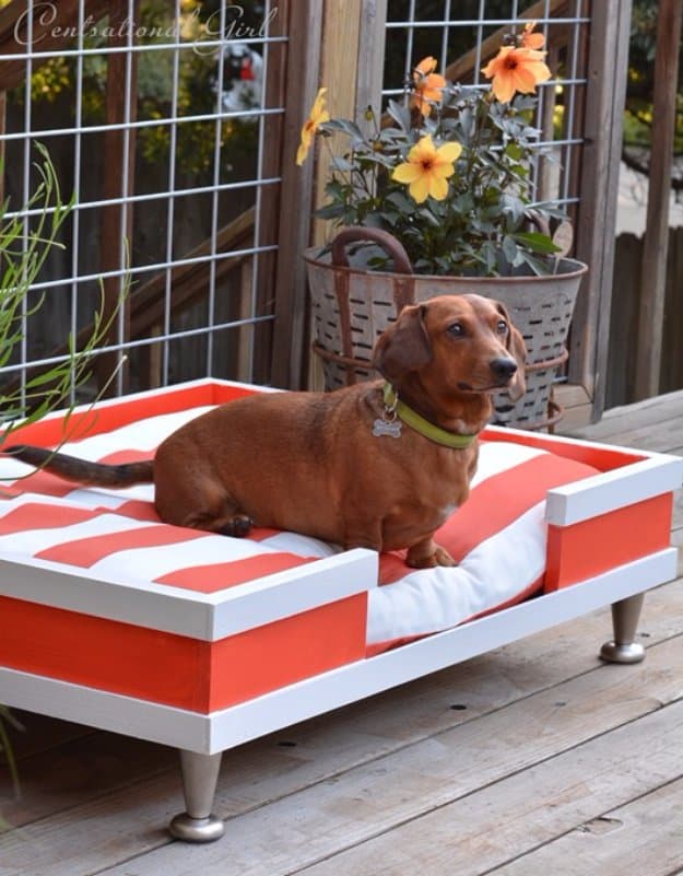 31 Creative DIY Dog Beds You Can Make For Your Pup