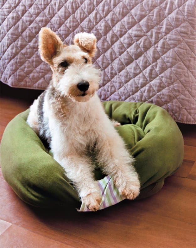 How to Make a Simple Dog Bed (or Outdoor Cushion)