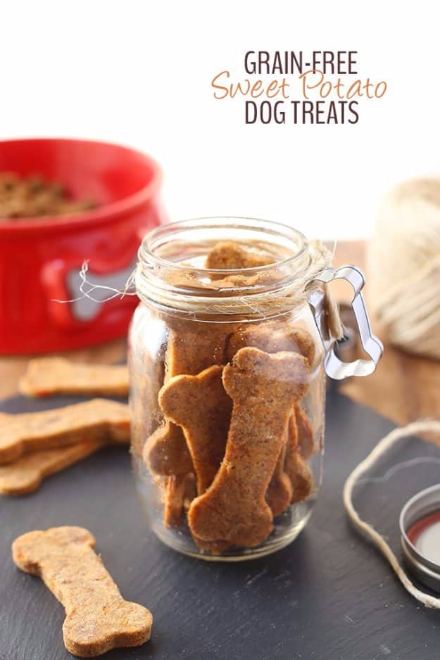 DIY Pet Recipes For Treats and Food - Grain Free Sweet Potato Dog Treats - Dogs, Cats and Puppies Will Love These Homemade Products and Healthy Recipe Ideas - Peanut Butter, Gluten Free, Grain Free - How To Make Home made Dog and Cat Food 