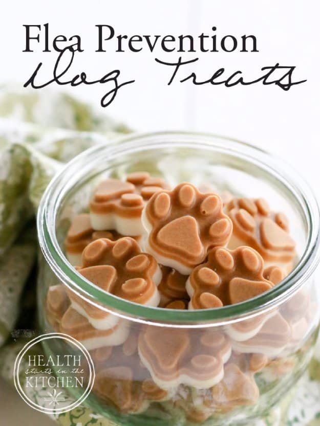 DIY Pet Recipes For Treats and Food - Homemade Flea Prevention Dog Treats - Dogs, Cats and Puppies Will Love These Homemade Products and Healthy Recipe Ideas - Peanut Butter, Gluten Free, Grain Free - How To Make Home made Dog and Cat Food 