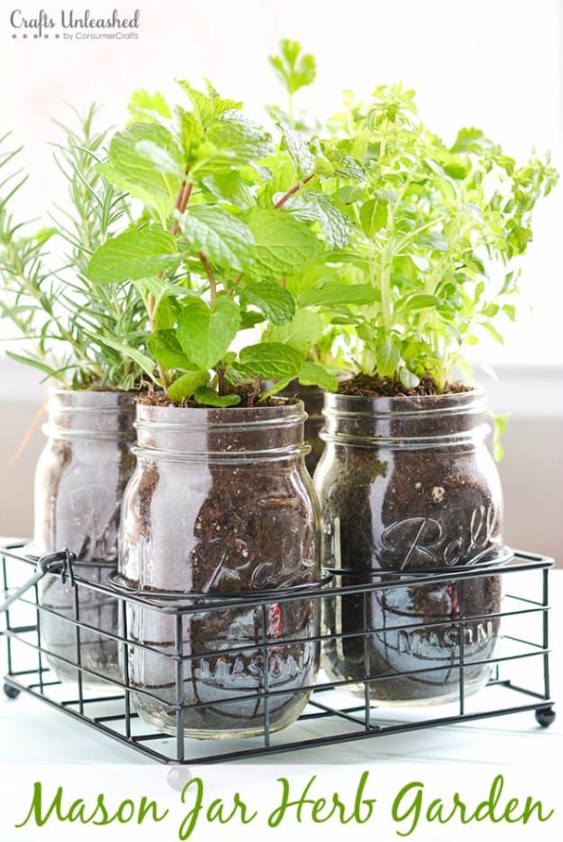 Mason Jar Ideas for Summer - Mason Jar Herb Garden - Mason Jar Crafts, Decor and Gifts, Centerpieces and DIY Projects With Jars That Are Perfect For Summertime - Fun and Easy Lights, Cool Vases, Creative 4th of July Ideas