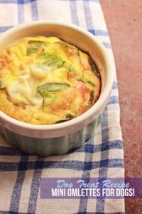 35 Homemade Pet Recipes For Dogs and Cats