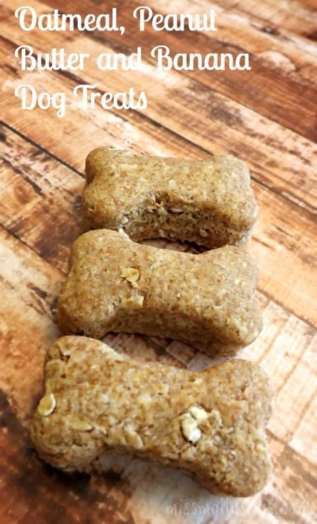 DIY Pet Recipes For Treats and Food - Oatmeal Peanut Butter Banana Dog Treats Recipe - Dogs, Cats and Puppies Will Love These Homemade Products and Healthy Recipe Ideas - Peanut Butter, Gluten Free, Grain Free - How To Make Home made Dog and Cat Food 
