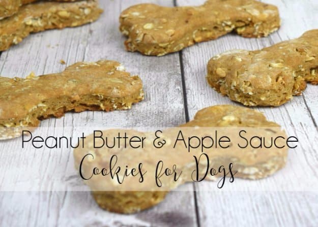 DIY Pet Recipes For Treats and Food - Peanut Butter and Apple Sauce Cookies for Dogs - Dogs, Cats and Puppies Will Love These Homemade Products and Healthy Recipe Ideas - Peanut Butter, Gluten Free, Grain Free - How To Make Home made Dog and Cat Food 