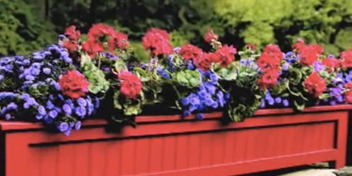 Charming Flower Outdoor Planter Box Brightens Up Any Yard! | DIY Joy Projects and Crafts Ideas