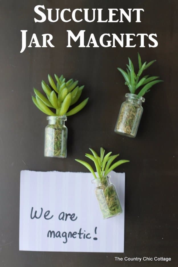 DIY Kitchen Decor Ideas - Succulent Jar Magnets - Creative Furniture Projects, Accessories, Countertop Ideas, Wall Art, Storage, Utensils, Towels and Rustic Furnishings #diyideas #kitchenideass