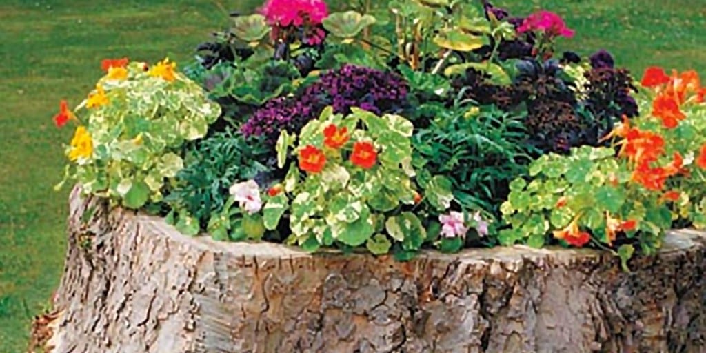 How to Make A Tree Stump Planter