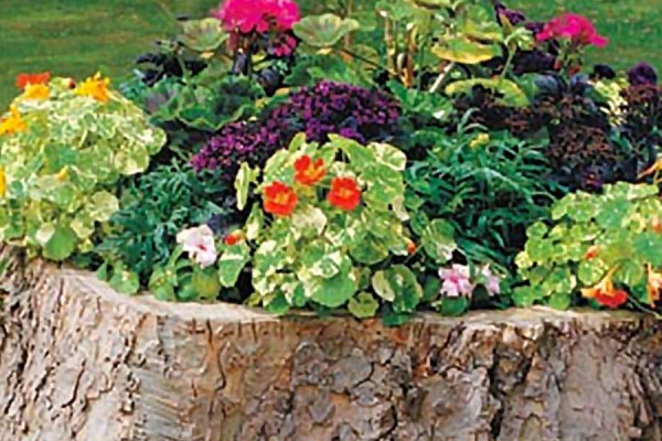 How to Make A Tree Stump Planter