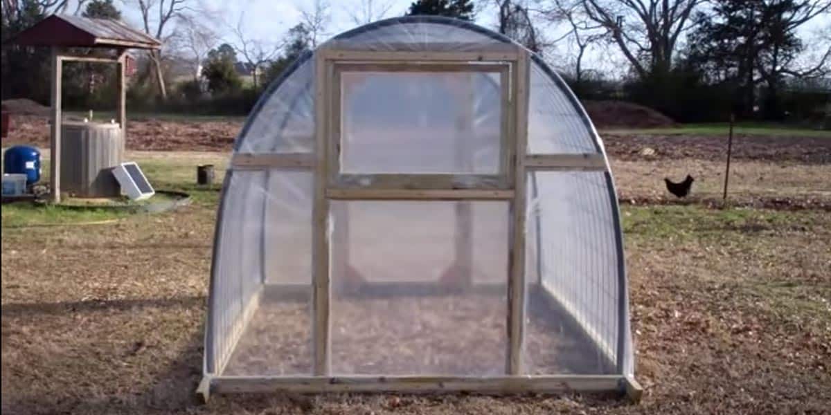 Most of Us Wish We Had A Greenhouse At One Point In Our Life & Here’s How To Make One! | DIY Joy Projects and Crafts Ideas