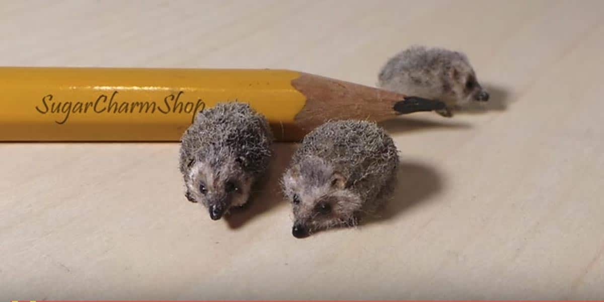 Don’t You Want to Make One of These Precious Little Polymer Clay Hedgehogs? | DIY Joy Projects and Crafts Ideas