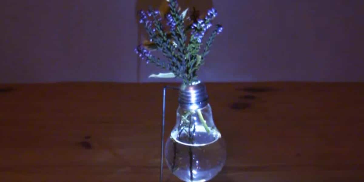 You’ve Got to See How This Amazing Light Bulb Vase Works! | DIY Joy Projects and Crafts Ideas