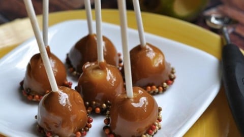 Easy to Eat Delicious Mini Caramel Apples Are a Big Hit With Everybody! | DIY Joy Projects and Crafts Ideas