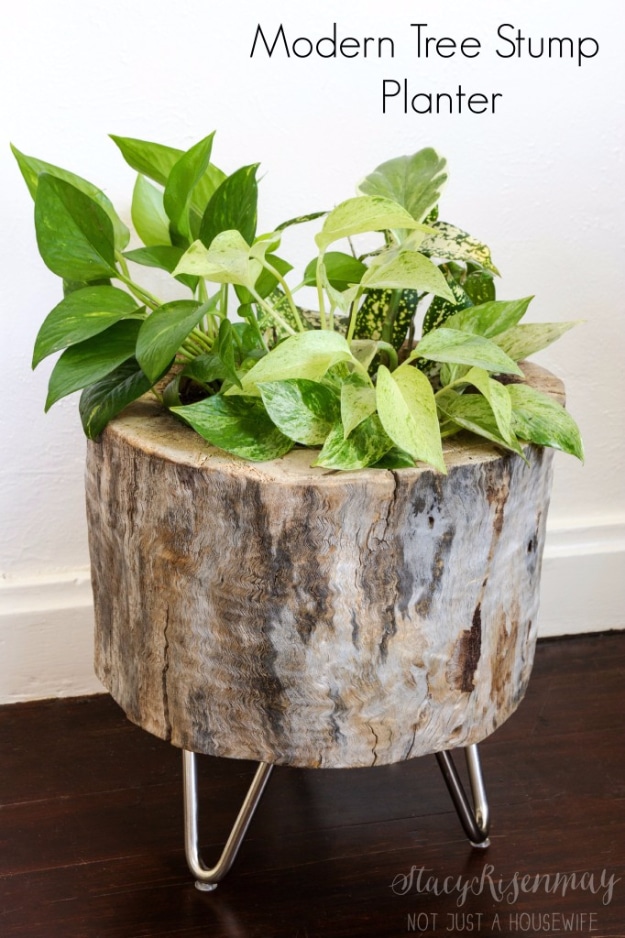 Creative DIY Planters -Modern Tree Stump Planter - Best Do It Yourself Planters and Crafts You Can Make For Your Plants - Indoor and Outdoor Gardening Ideas - Cool Modern and Rustic Home and Room Decor for Planting With Step by Step Tutorials 
