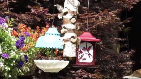 Charming Upcycled Bird Feeder Will Make The Birds LOVE You! | DIY Joy Projects and Crafts Ideas
