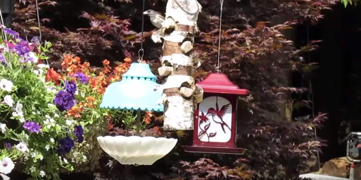 Charming Upcycled Bird Feeder Will Make The Birds LOVE You! | DIY Joy Projects and Crafts Ideas