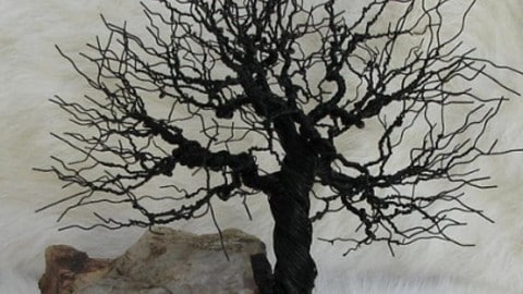 Fabulous Twisted Wire Tree Is Quite The Statement In Your Home! | DIY Joy Projects and Crafts Ideas