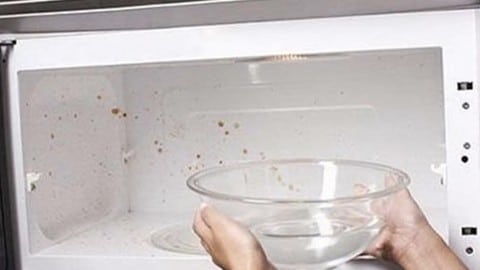 Are You Tired of Scrubbing Caked on Food in Your Microwave? | DIY Joy Projects and Crafts Ideas