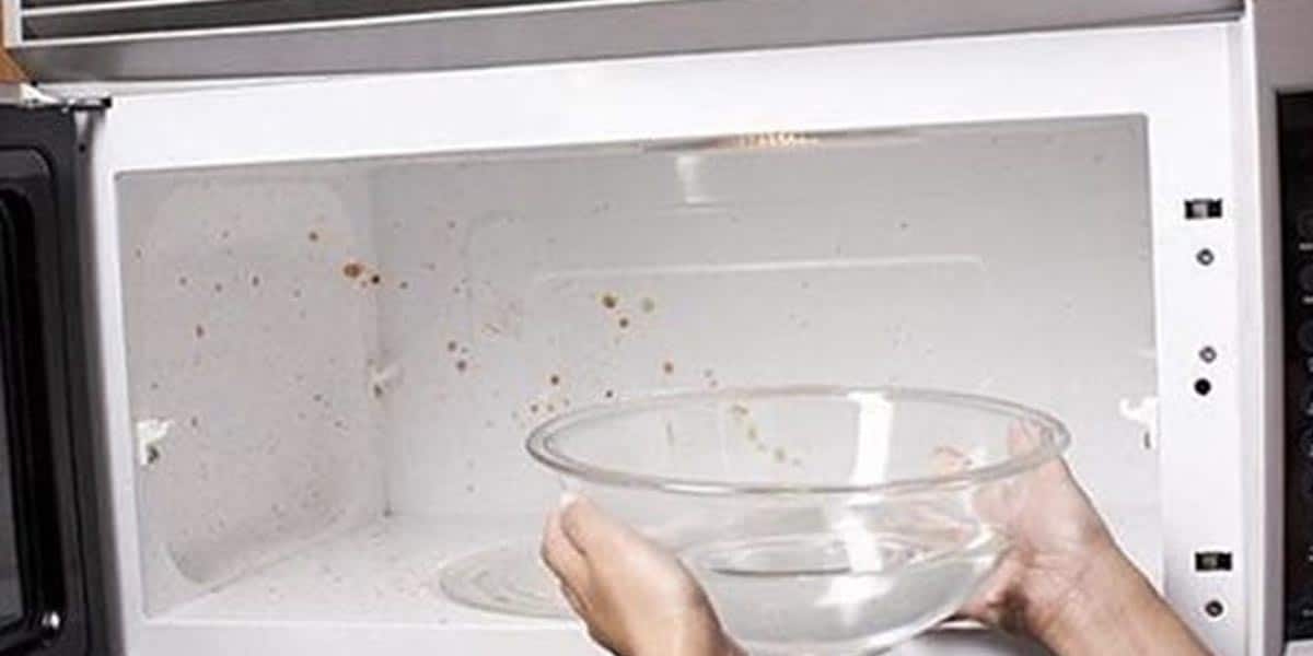 Are You Tired of Scrubbing Caked on Food in Your Microwave? | DIY Joy Projects and Crafts Ideas