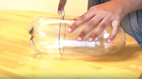 She Cuts This Bottle And What She Does After That…Watch! | DIY Joy Projects and Crafts Ideas