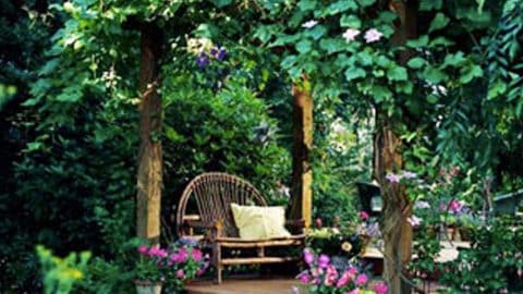 He Creates A Fabulous Sanctuary By Building A Lovely Arbor! (Watch How He Does This!) | DIY Joy Projects and Crafts Ideas