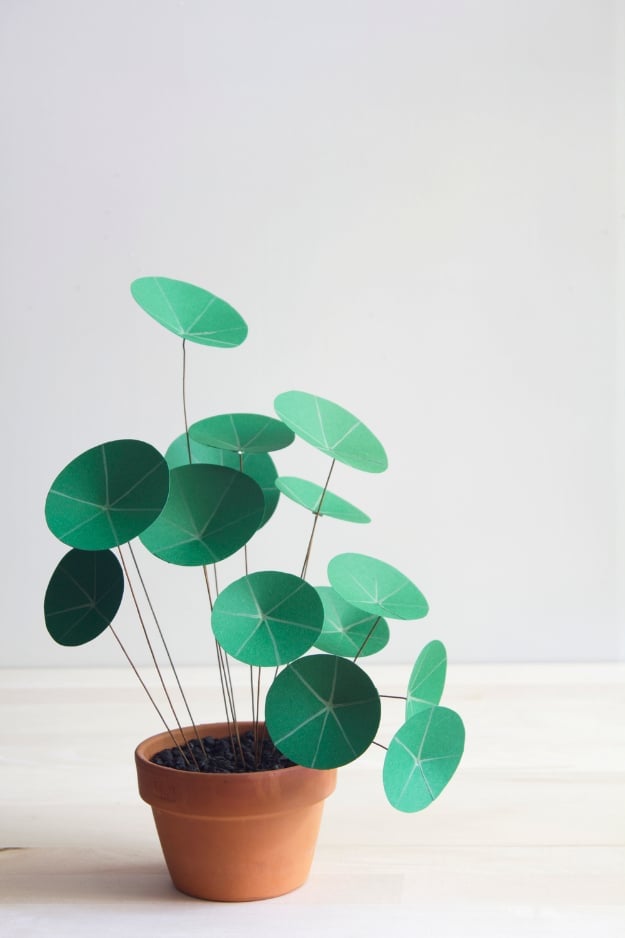 Quick and Easy DIY Project Idea - Paper Chinese Money Plant DIY - Easy Crafts and Projects - Simple Craft Ideas for Beginners, Cool Crafts To Make and Sell, Simple Home Decor, Fast DIY Gifts, Cheap and Quick Project Tutorials 