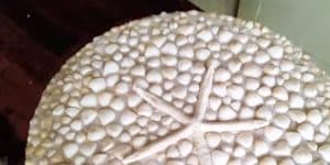 She Makes A Magnificent Mosaic Table With Seashells And It’s Stunning! (Watch!)