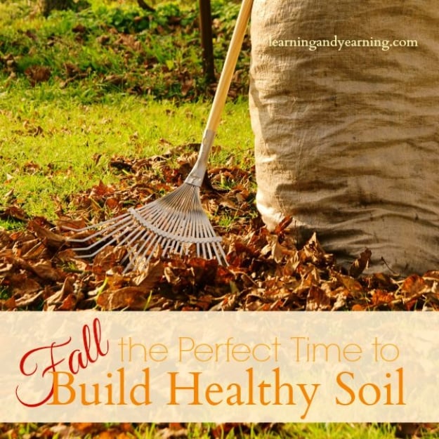 Best Gardening Ideas for Fall - Build Healthy Soil During Fall - Cool DIY Garden Ideas for Planting Autumn Varieties of Flowers and Vegetables - Pumpkins, Container Gardens, Planting Tips, Herbs and Easy Ideas for Beginners 
