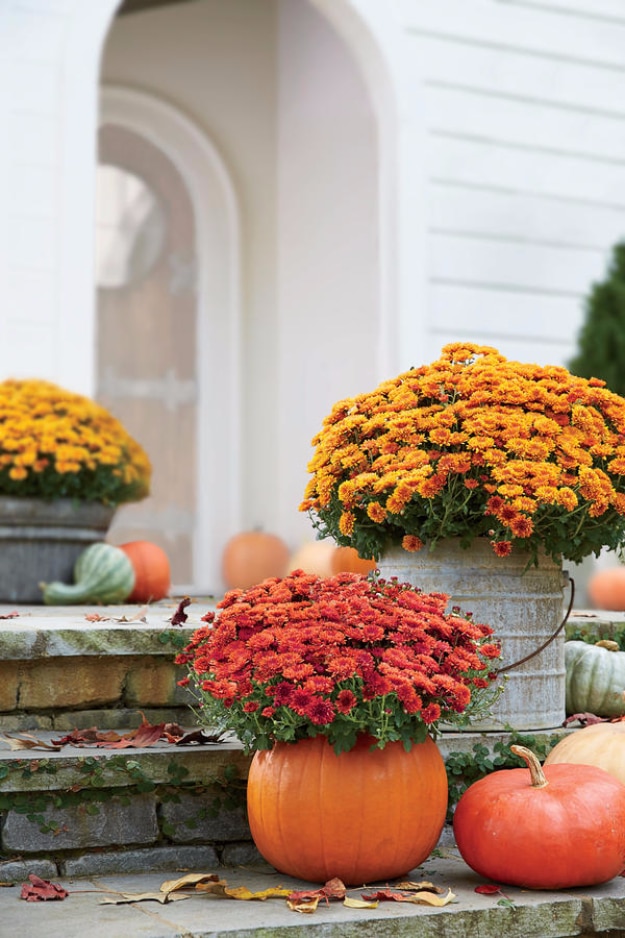 Best Gardening Ideas for Fall - Carve Out A Mumkin - Cool DIY Garden Ideas for Planting Autumn Varieties of Flowers and Vegetables - Pumpkins, Container Gardens, Planting Tips, Herbs and Easy Ideas for Beginners 