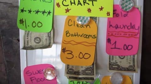 She Does The Most Clever Chore Chart For Her Kids By Attaching Money To Motivate! | DIY Joy Projects and Crafts Ideas
