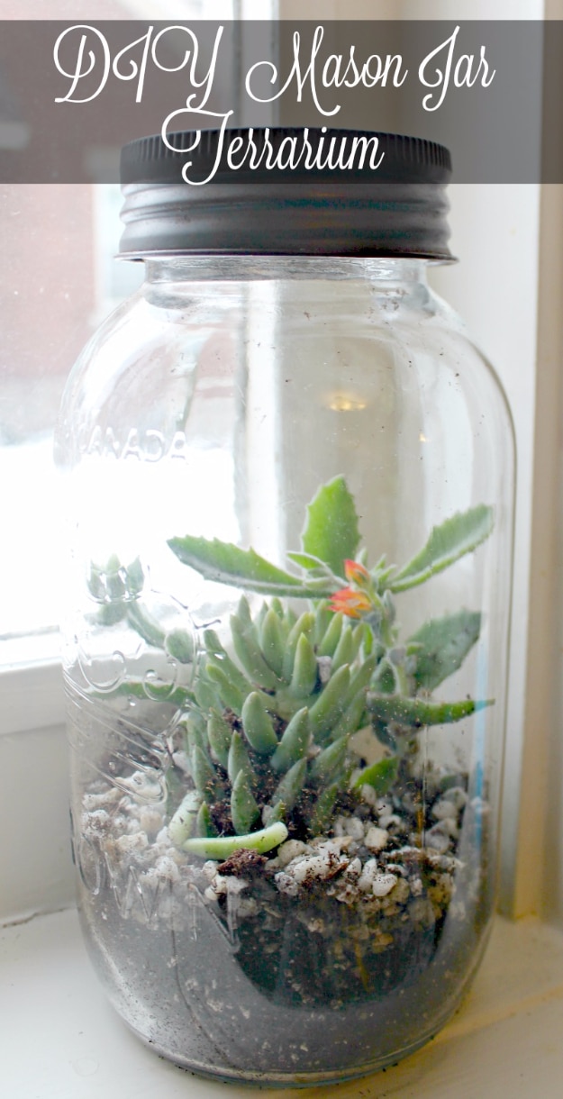 Mason Jar Crafts You Can Make In Under an Hour - DIY Mason Jar Terrarium - Quick Mason Jar DIY Projects that Make Cool Home Decor and Awesome DIY Gifts - Best Creative Ideas for Mason Jars with Step By Step Tutorials and Instructions - For Teens, For Home, For Gifts, For Kids, For Summer, For Fall #masonjarcrafts #easycrafts 